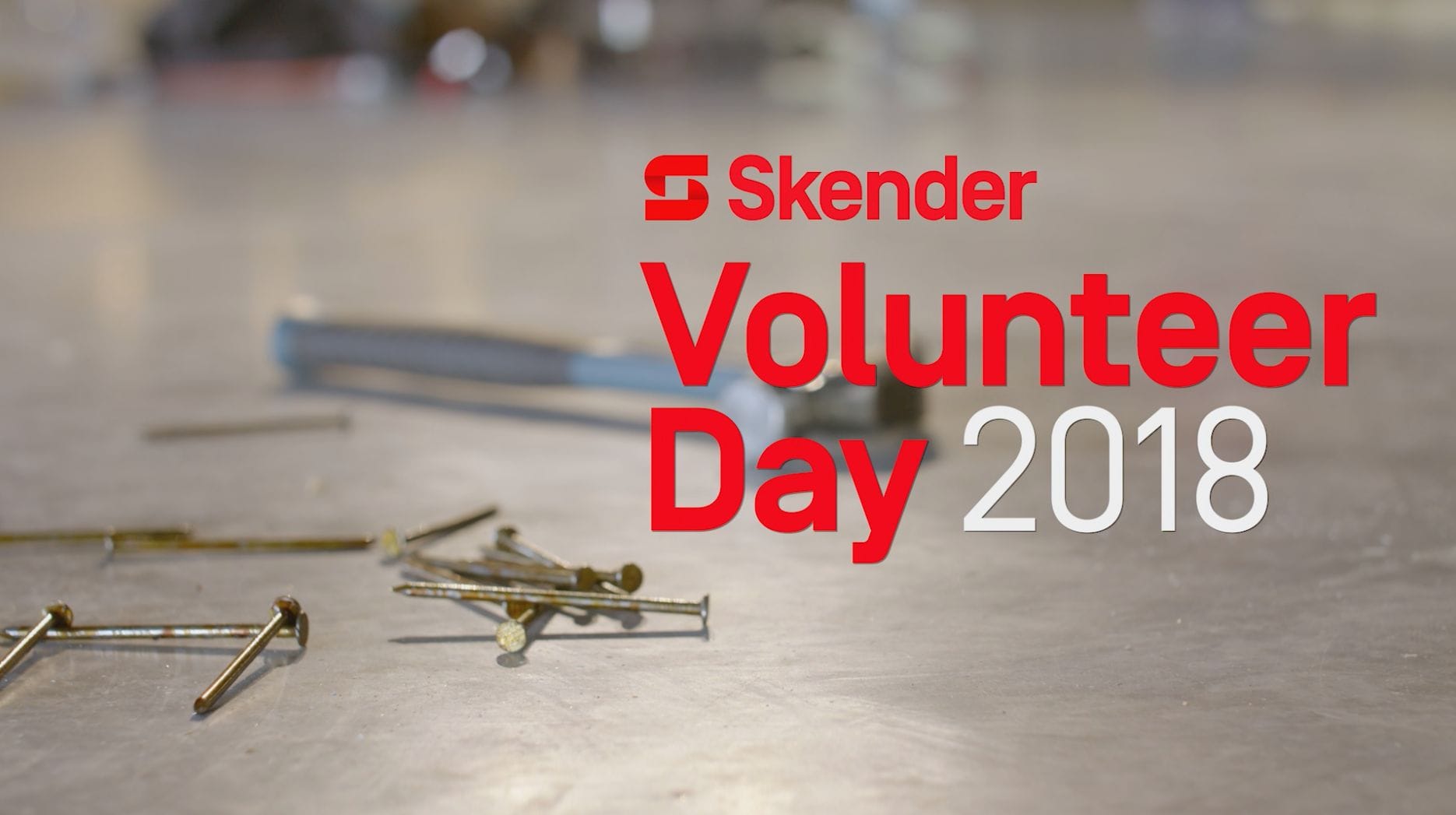 Skender Volunteer Day 2018
