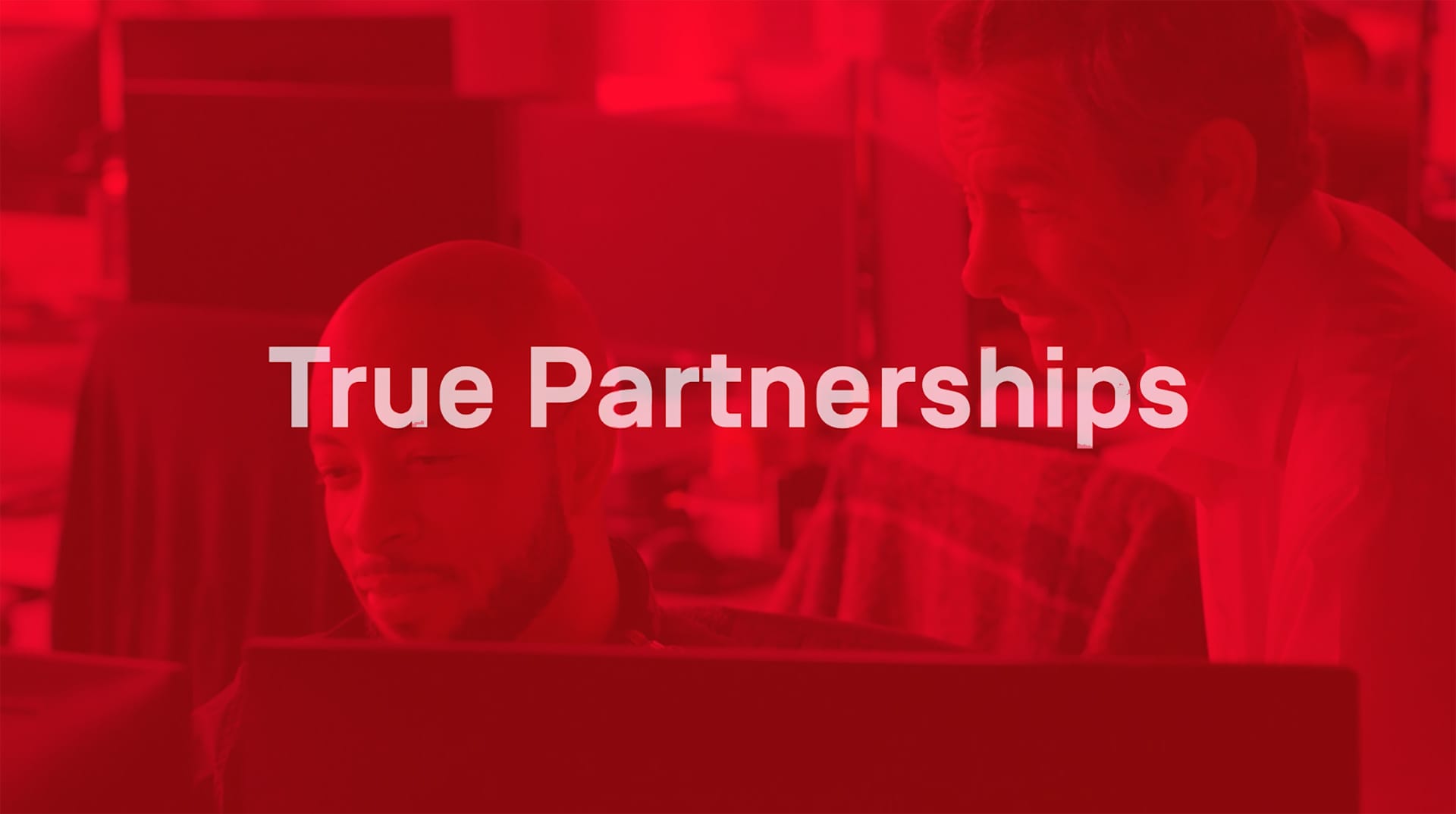 True Partner – Skender Core Value